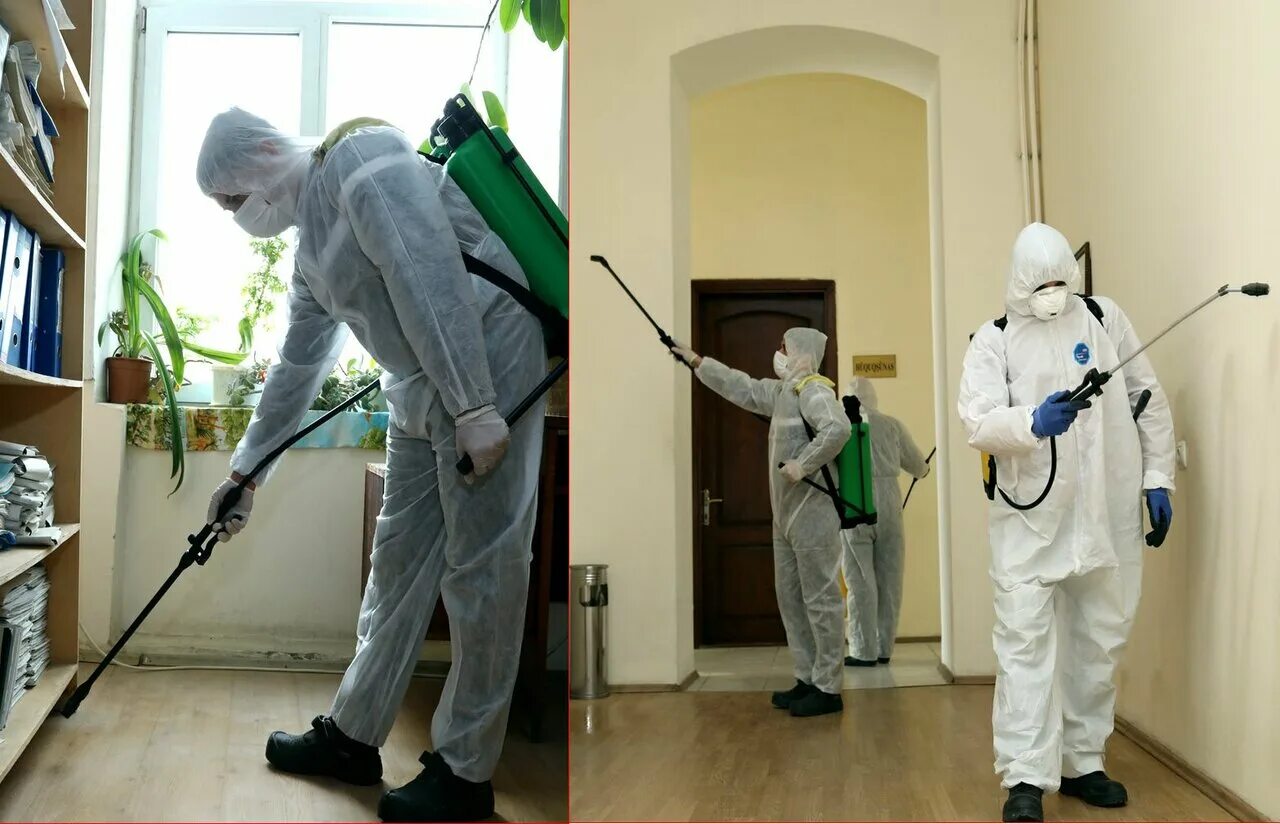 Keng qamrovli dizenfeksiya xizmati