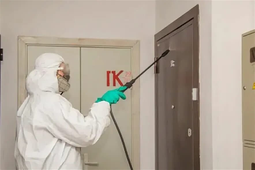Kompleksli dizenfeksiya xizmati 24/7