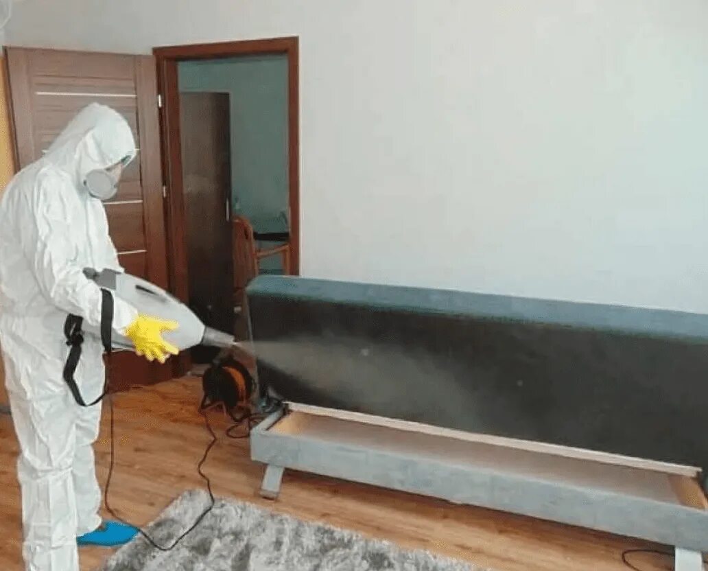 Klapalarga qarshi dizenfeksiya xizmati
