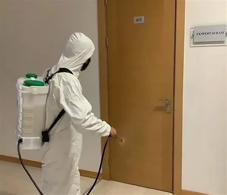 Kompleksli dizinfeksiya xizmati