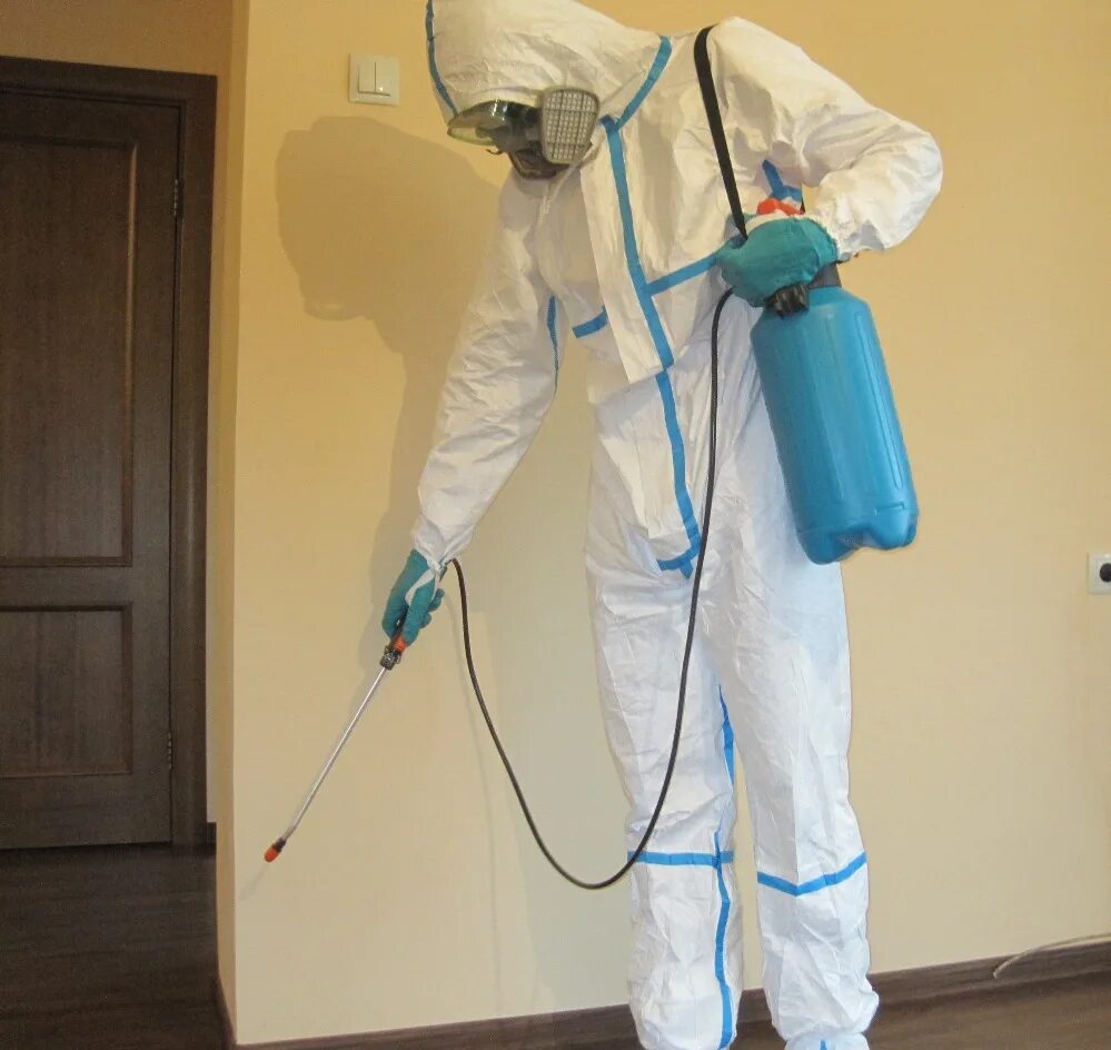 Дезинфекция против ядовитых змей