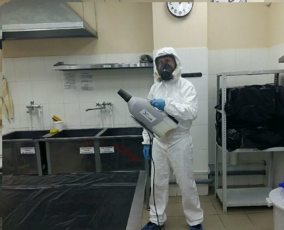 Дезинфекция против тараканов