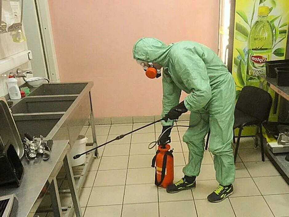 Kaltakesakka qarshi dizenfeksiya