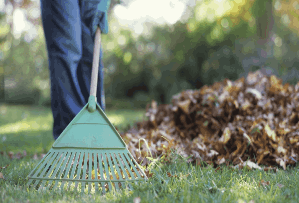 Уборка дома с двором