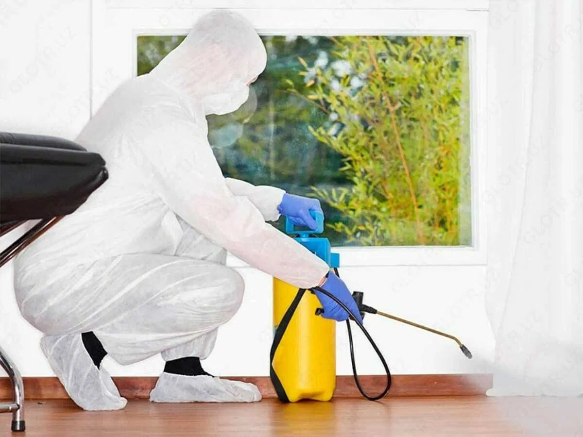 Услуга дезинфекции от насекомых